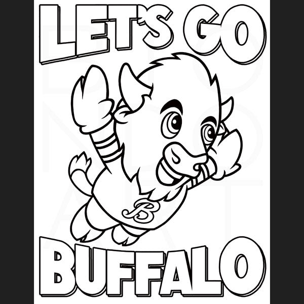 Buffalo On The Field Coloring Book